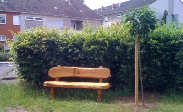 Baum und Bank im Erloch laden zum Verweilen ein