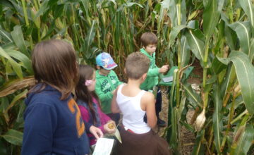 „Offener Kindertreff“ auf Tour im Maislabyrinth
