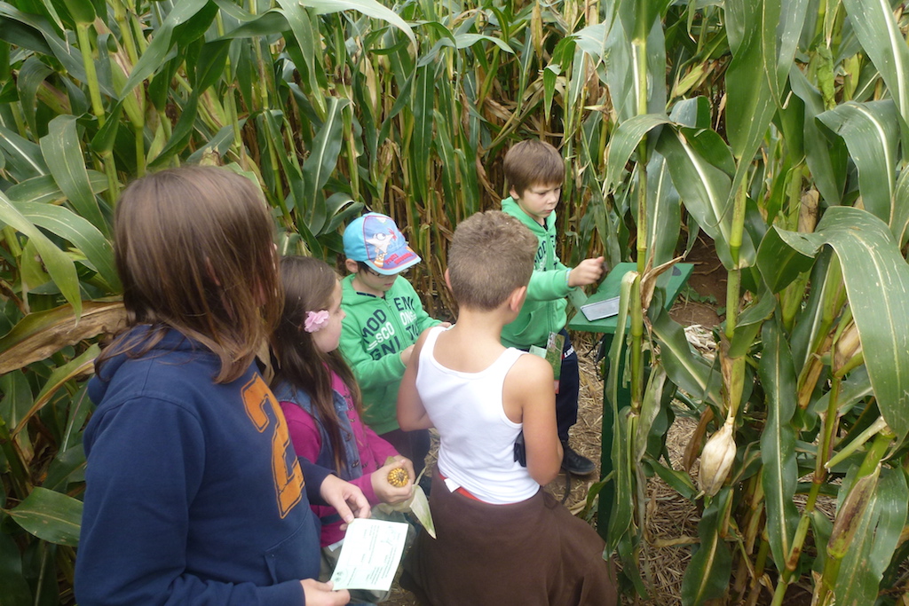„Offener Kindertreff“ auf Tour im Maislabyrinth
