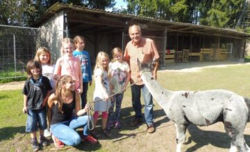 Ausflug zu den Alpakas