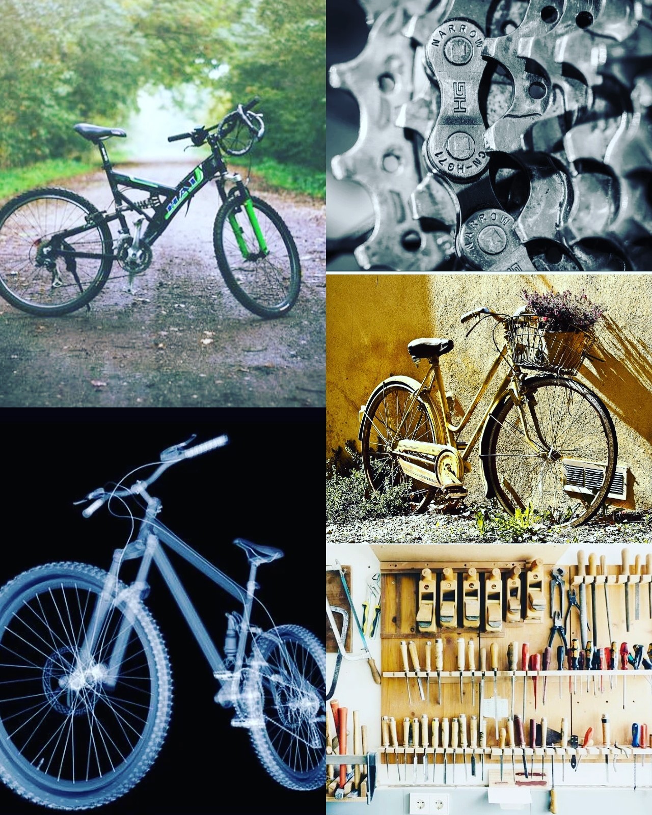 Ihr wollt euer Fahrrad wieder flott machen und lernen wie man kleine Reparaturen selbst machen kann? Ein platter Reifen, eine Kette, die rausgesprungen ist, der Sattel und das Lenkrad nicht [&hellip;]