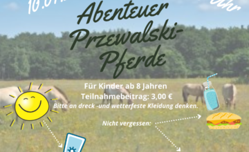 Ausflug zu den Przewalski-Pferden im Babenhäuser Naturschutzgebiet „In den Rödern“