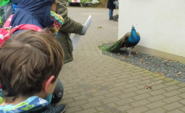 Babenhäuser Kindergruppe erkundeten bei eisigen Temperaturen Zoo „Vivarium“ in Darmstadt