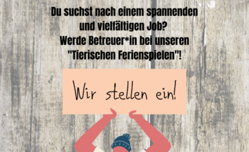 Betreuer*innen für die Ferienspiele gesucht!