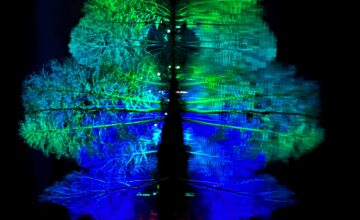 Magische Lichterwelten – Ausflug zu den „Christmas Lights“ Bad König